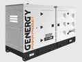 Grupo Electrógeno Genergy GDS200T 204 KVA Trifásico
